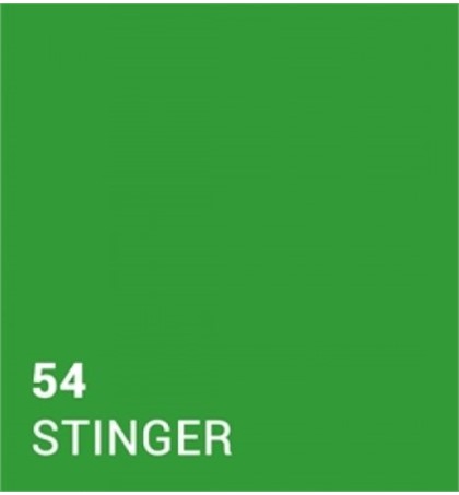 Seamless Paper Backdrop Roll 2.7X10m #54 Stringer / Green Screen